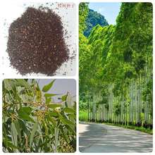 ��ľ�N���������N��β�����С�~���N�ӹ��@�G���е����{���