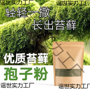 ̦�\�N�ӷ�ĩ��ˮʯ��ɽ��ˮʯ�辰���r����̦�N��̦�\����