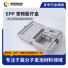 EPP�����t���аl�������t����е���b���ᱣ�o�p����������t����