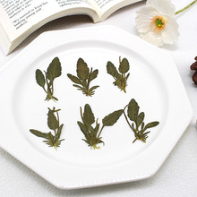 ��ɫ���~�ɻ������֙C���l�AѺ���NƬ����Ʒ�b�diy���ϰ�Ѻ��