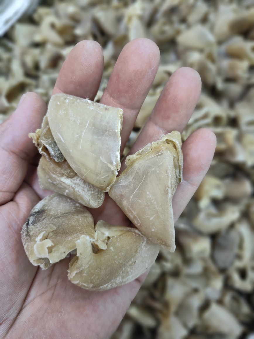 Zhi Zhu Ti Jia (Prepared Pig's Hoof Shell) — Processed TCM Herbal Material, 500g key features