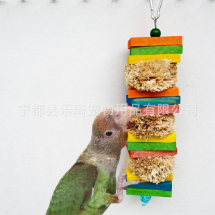 �W�^�B��ҧ��� ľ�K���׽z��ҧ�� �B�\�␞�≺�b��