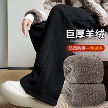 ɫӽqѝŮ2025¿|غqѝխ\ֱͲѝŮ