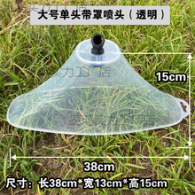 �r��늄Ӈ��F��͸�����L�ֳ��݄����F�����Ύ��ִ��^