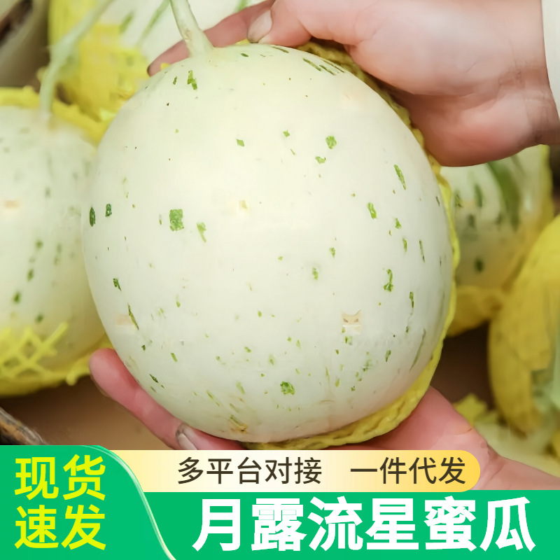 月露流星蜜瓜5斤新鲜水果当季整箱冰淇淋甜瓜脆甜网纹瓜现货
