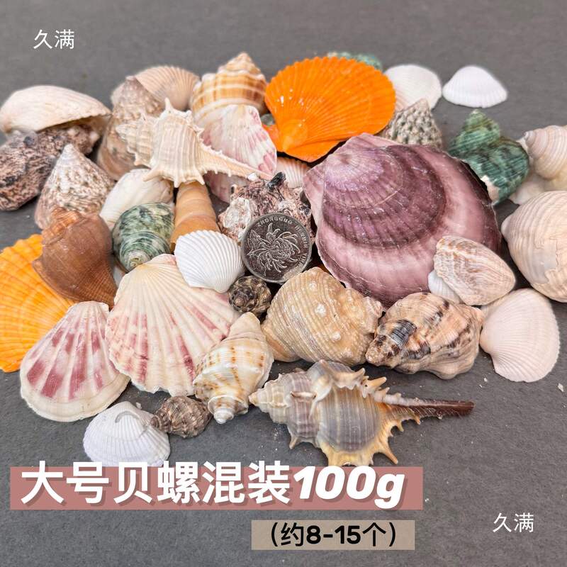 石塑粘土贝壳冰箱贴手工制作DIY海螺贝壳玛瑙免烧免考材料包|undefined