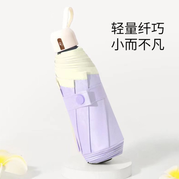 5 배 컬러 접착제-보라색 노란색