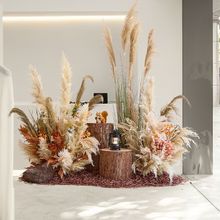 JȔݻ쾰L҃Ⱦ^bWtb