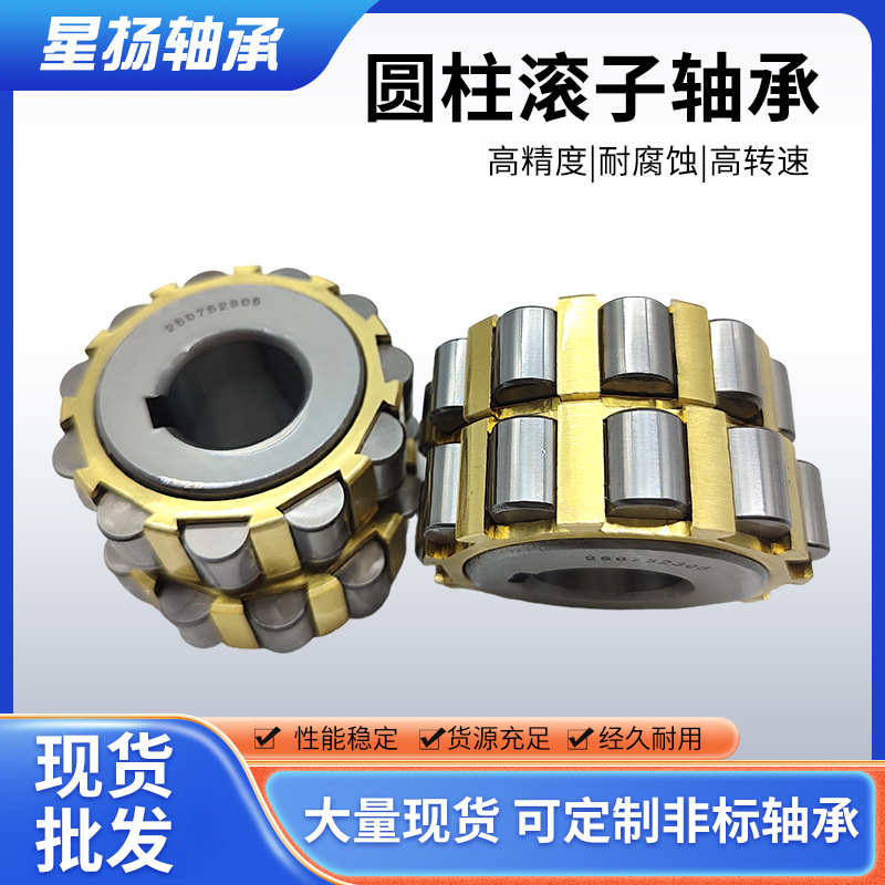 摆线针减速机轴承  RN系类轴承RN206M RN307 RN312M整体偏心轴承