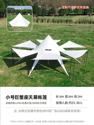 Avtomobil yan çətirləri – Sunshade, Extra Large - flying-saucer-l6w6th3m-corresponding-to-size