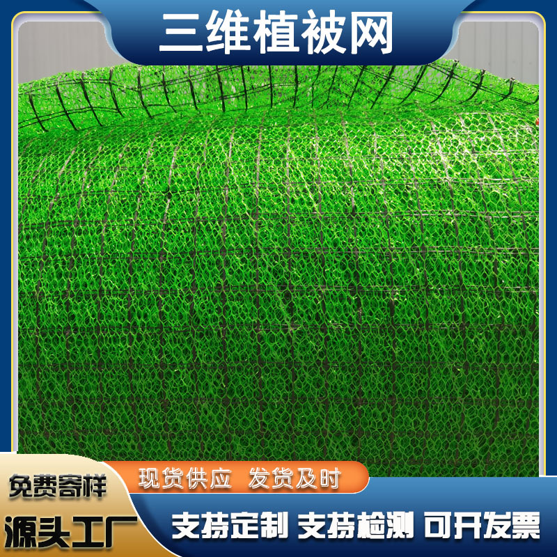 加筋三维植被网 三维土工网垫 三维土工网植草护坡