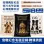名字跨境纪念定制pet