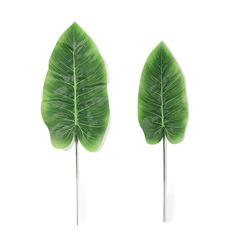 仿真單支美人蕉 綠色絹布絲印美人蕉葉子 北歐風貓爬架裝飾綠葉