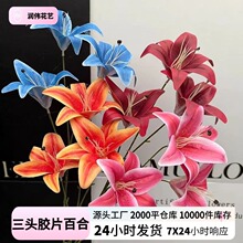 ���l���^3D��ӡ�ٺϷ��滨 ��Y�ò廨�Ƶꙻ�������ٻ��ٺϻ�