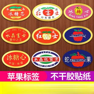 �t��ʿ�O���˺��O���̘˱������O�������z�N���ڰ̺۲����z�N