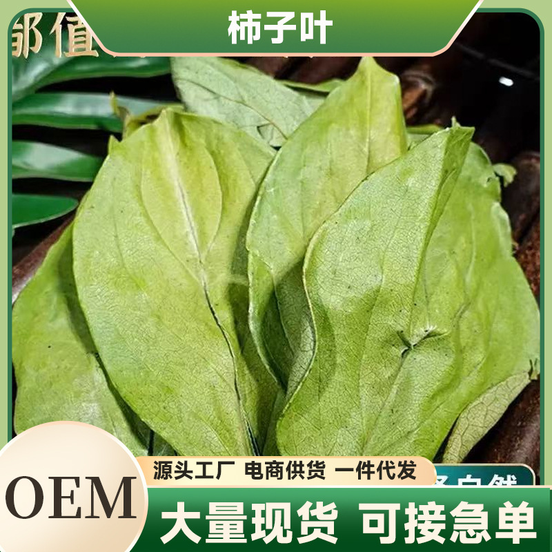 Authentic persimmon leaves fresh dried Chinese herbal medicine genuine goods wild new product persimmon leaf cream dried persimmon leaves soaked in water wholesale