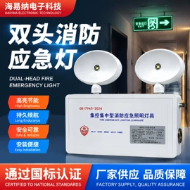 应急指示灯具