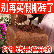 椰砖营养土椰土壤椰糠粗椰壳养花种菜低盐种植9斤有机花卉绿植