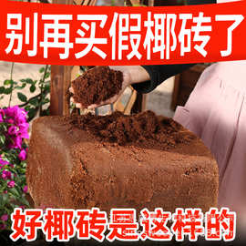 椰砖营养土椰土壤椰糠粗椰壳养花种菜低盐种植9斤有机花卉绿植
