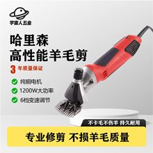 ����ɭ��Ʒ�¿���ë��늄�����ʡ������ë���ô����ք�����ë