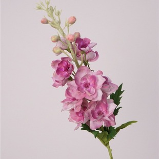 ���滨�ָб����w��݆�֦�Ҿӻ�ˇ�[����c�ٻ��zӰ����ܛ�b���l