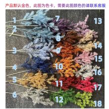 ��ɫ���ȼ��������m��Y�����b[�����������ϼٻ�����E18