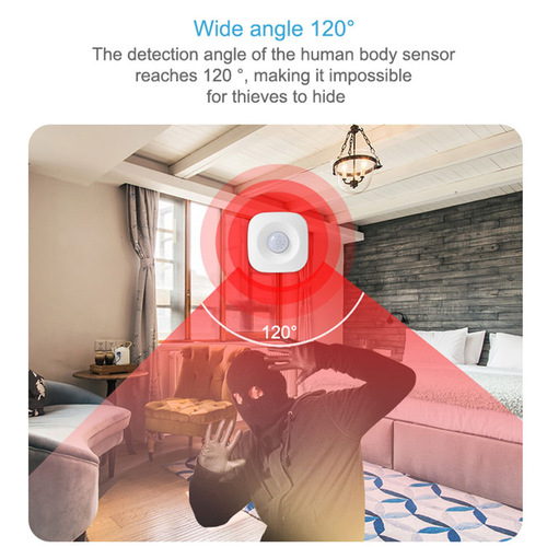 Graffiti WIFI Human Infrared Sensor Tuya WIFI PIR Motion Sensor Detector