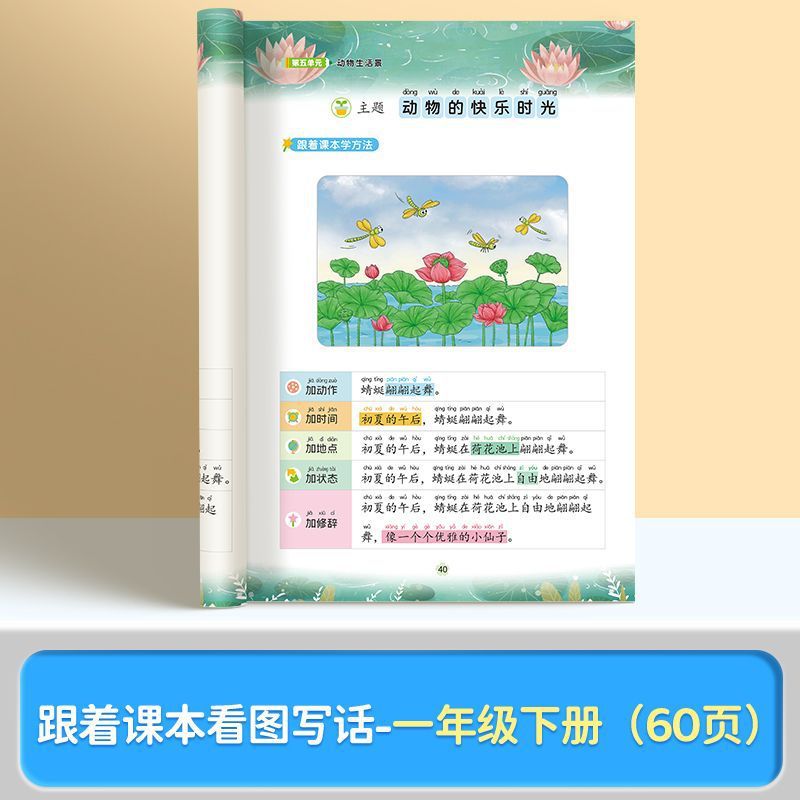 Look at the picture and write the first grade