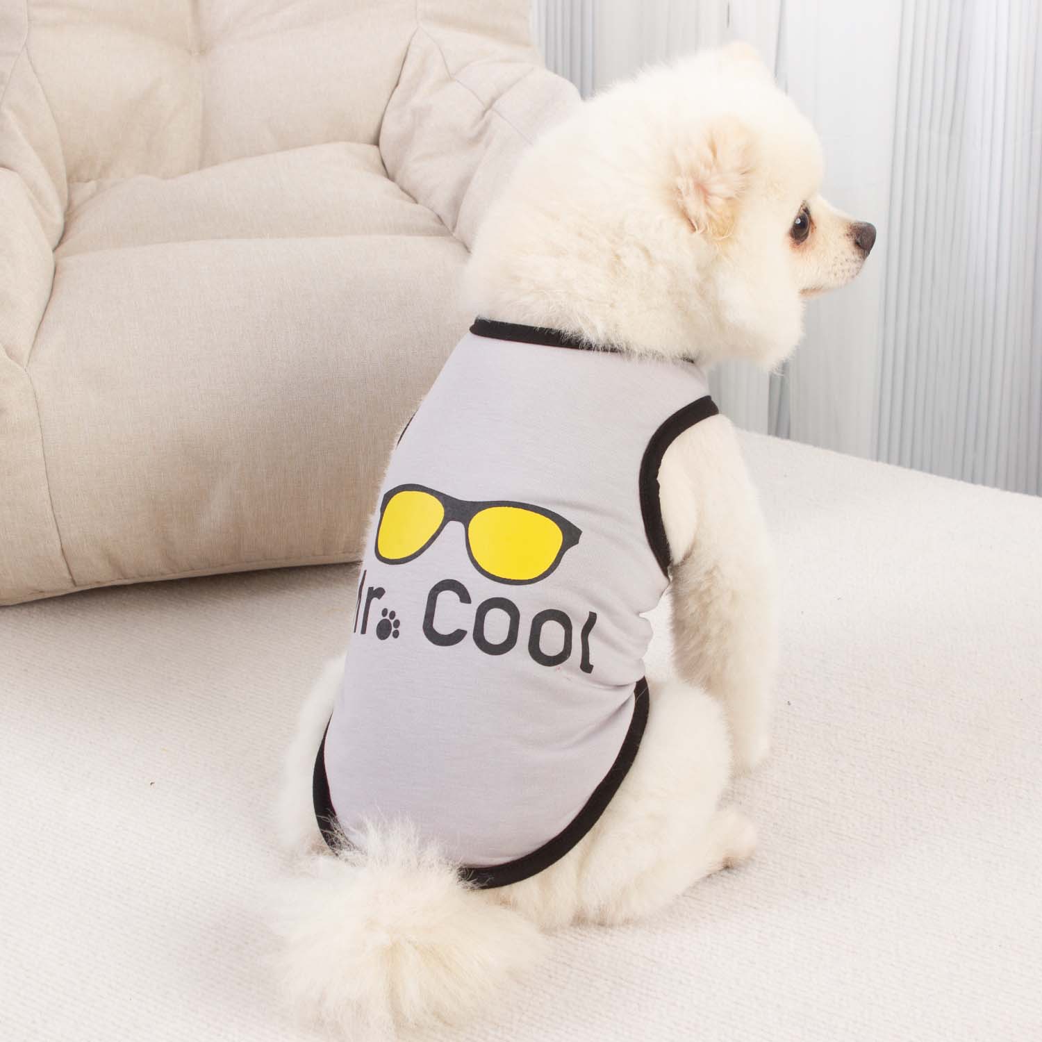 New pet clothing dog clothes cat clothes spring and summer thin vest glasses flash version YE249005