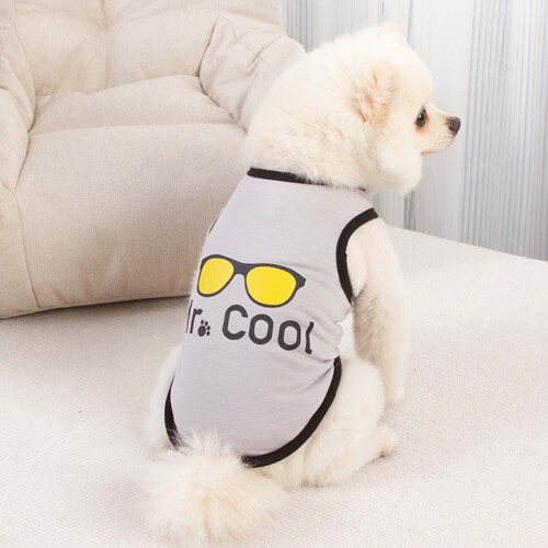 New pet clothing dog clothes cat clothes spring and summer thin vest glasses flash version YE249005