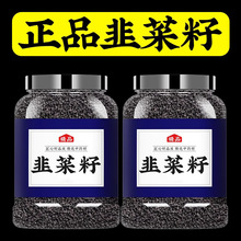 韭菜籽中药材500g官方旗舰店野生韭菜子炒熟的韭菜籽粉枸杞菲菜籽