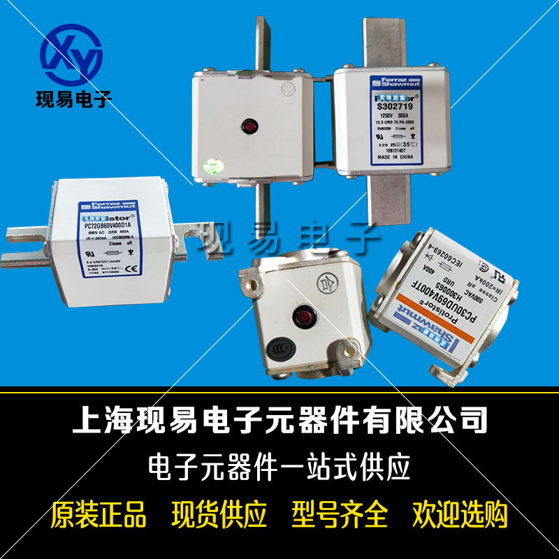 Roland PC32UD69V800TF P 300071 PC32UD69V900TF Q 300072 Brand New Fuse