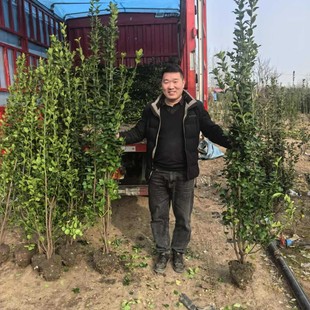 �ļ����ඬ������h�ʠ�����~�S��ֱ��������ͥԺ�G�h���ͺ�ֲ��