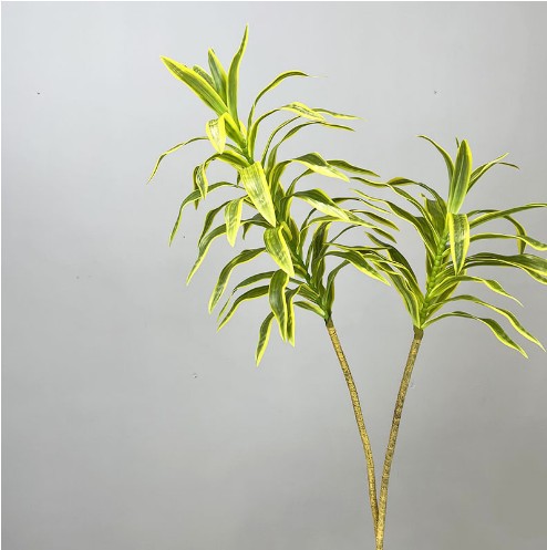 Small yellow (single branch)