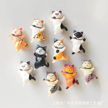 日本3D立体猫咪冰箱贴磁贴可爱熊猫装饰 外贸动物吸铁石批发