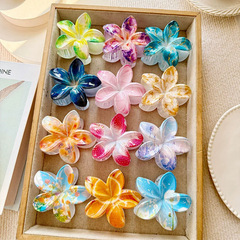 女性の甘いグラデーションの卵の花はサメのクリップを挟んでプリントします。