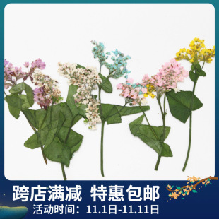 �w����֦���~ֲ�ﱾ�̌W�ɻ�����UV���z�l�A�������y�滨��ˇ�ز�