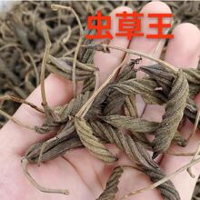 �����x�����������������������m������x�����a��؛Դ