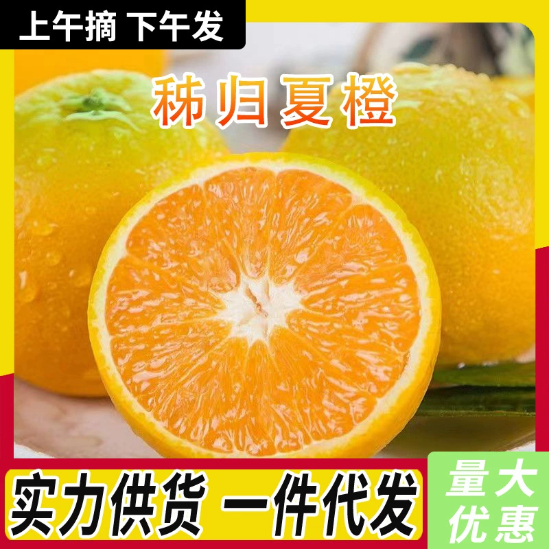 Authentic Zigui Summer Oranges, Navel Oranges, High Mountain Oranges, Fresh and Freshly Picked Seasonal Fruits from the Place of Origin, Free Shipping and Wholesale Authentic Zigui Summer Oranges, Navel Oranges, High Mountain Oranges, Fresh and Freshly Picked Seasonal Fruits from the Place of Origin, Free Shipping and Wholesale