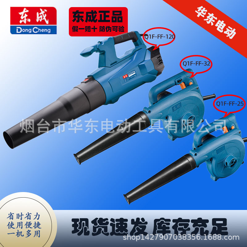 Venta al por mayor Dongcheng secador de pelo de mano soplador de alta potencia eliminación de polvo soplado colección de polvo de doble uso portátil ciudad secador de pelo