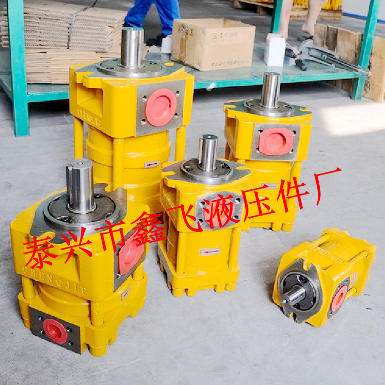 NT5油泵NB4/NT4/C80F/C100F/C125F/QT51直线共轭内啮合齿轮泵D G