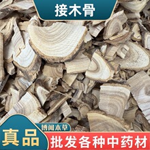接骨木 续骨木接骨草续骨草中药材接骨木代打粉批发代发
