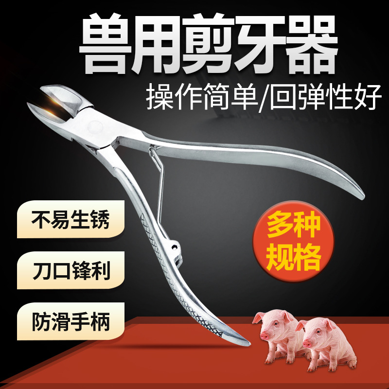 Alicates de corte de dientes de cochinillo de codo recto Tipo de metralla alicates de corte de dientes de acero inoxidable de tamaño pequeño alicates de corte de dientes de cerdo grande