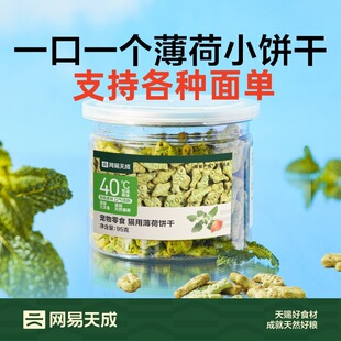 �W��؈ɇ��x؈����С�~�؈����ʳ��ë����ĥ������ë�����