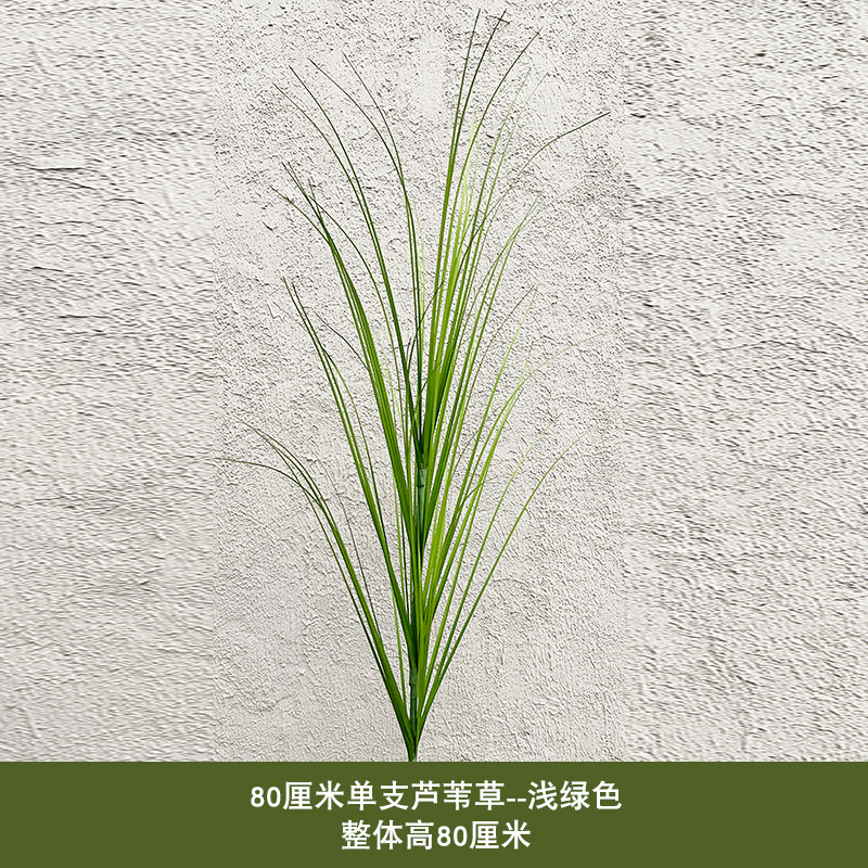 80cm 단일 갈대 - 연한 녹색