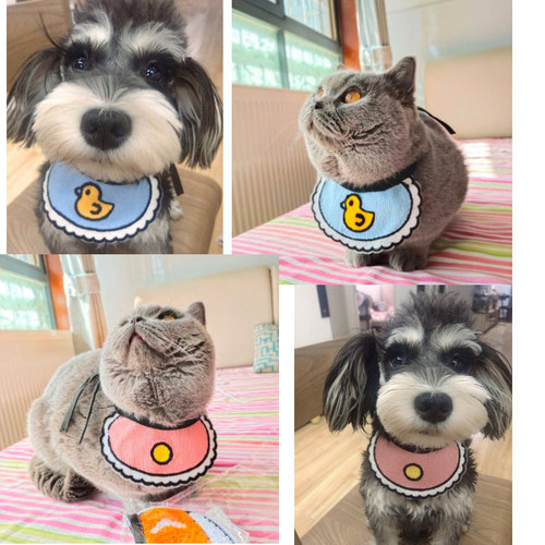 Dog and cat saliva napkin, pet clothes and decoration supplies, blue duck, Internet celebrity, Korean knitted spring, summer, autumn and winter use