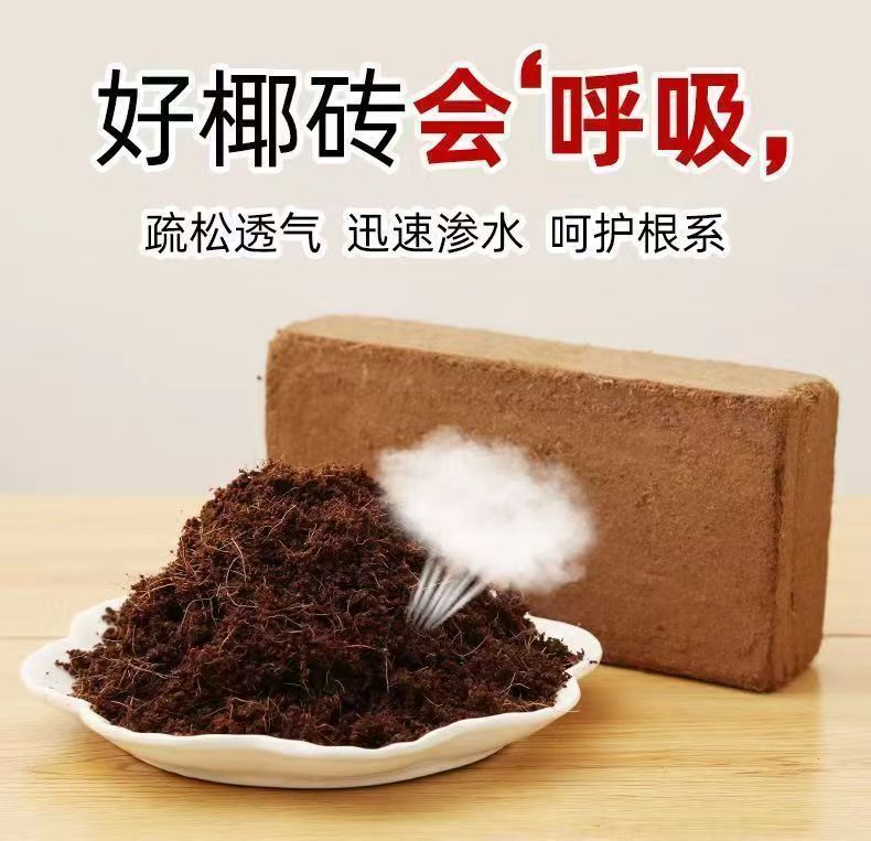 595162dc-5cbd-4130-b7b5-588afb90ff19.jpe