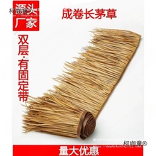 ����ȼ��������X�Ͻ����쵾��é�������b�ë�ݷ����������̫��