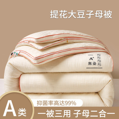 新款A类提花无染针织棉大豆被芯子母被春秋被冬被单人宿舍被批发|ru