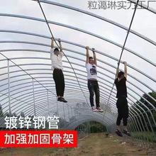 Nֲ߲˴ǼܜBֳشȫ׷NֲBҴ